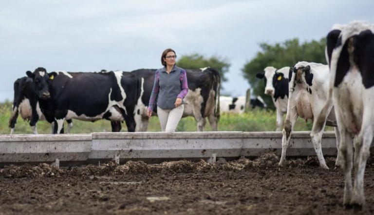 Lee más sobre el artículo Relanzan el Plan Mejores Vacas 2025 con alianzas estratégicas y beneficios para productores lecheros